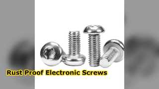 304 Torx screw